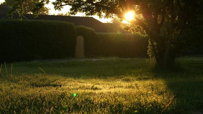 Как узнать, какие коммуникации проходят на земельном участке?