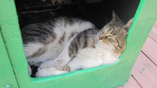 Почти как летом: столбики термометров поднимутся выше 20 градусов