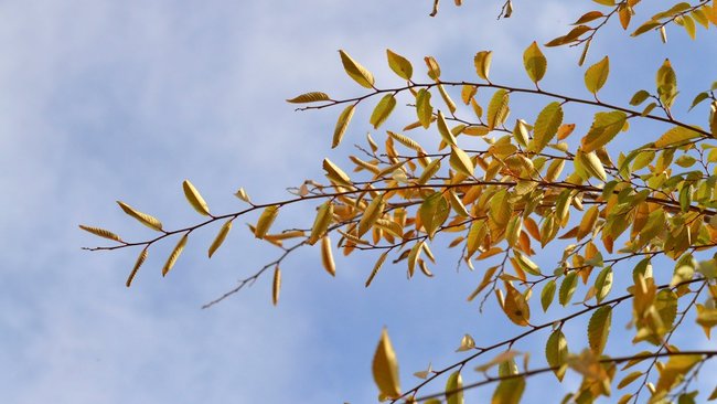 Лето вернулось в сентябре: о погоде на ближайшие дни