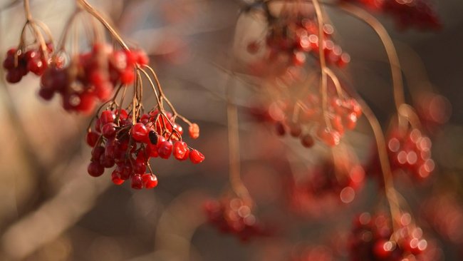 Метеорологи рассказали, каким будет ноябрь 