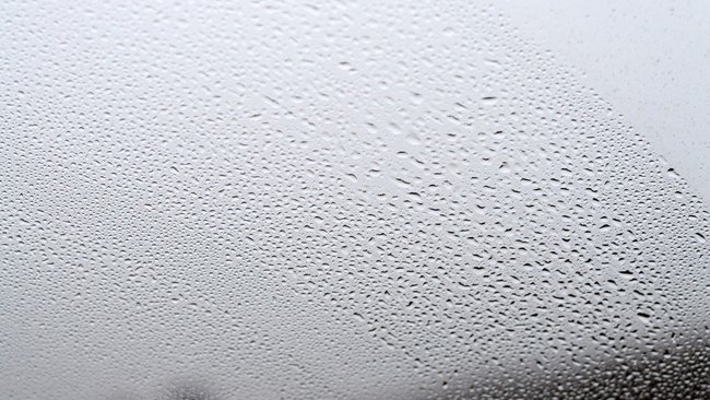 Мокрый снег и усиление ветра ожидают жителей региона в ближайшие дни