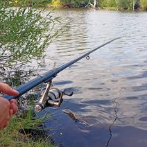 Можно ли рыбачить на частных прудах без разрешения владельца?