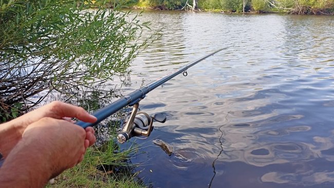 Можно ли рыбачить на частных прудах без разрешения владельца?