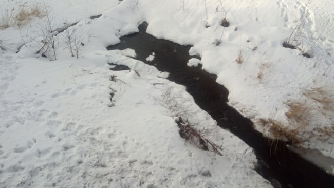 Жителей Оренбургской области предупреждают о наступлении оттепели