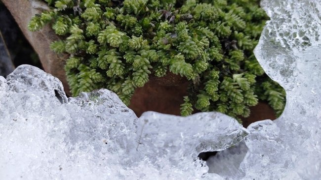 Дождь, снег и ветер: на регион надвигается непогода