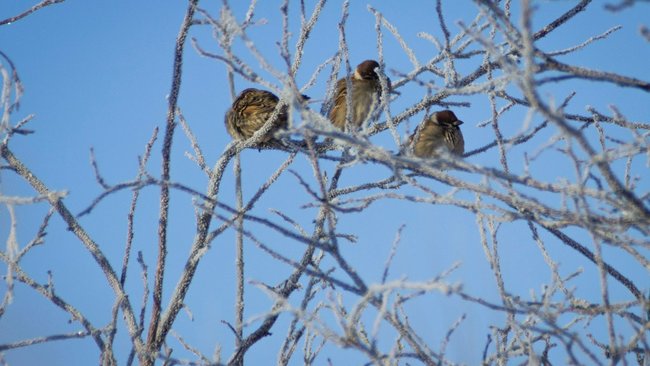 В Оренбуржье пришло похолодание
