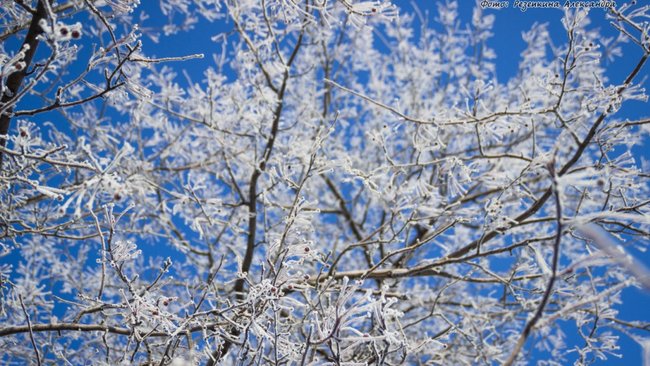 Штормовое предупреждение на ближайшие три дня пришло от синоптиков 