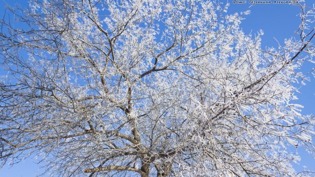 МЧС предупреждает жителей Оренбуржья о похолодании