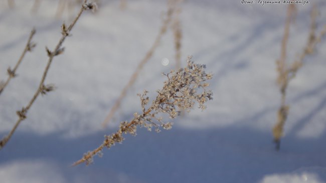 Сотрудники Бузулукского бора предупреждают об опасности на льду