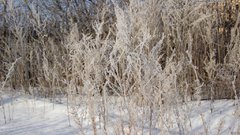 У бузулучанина за долги по кредиту забрали землю 