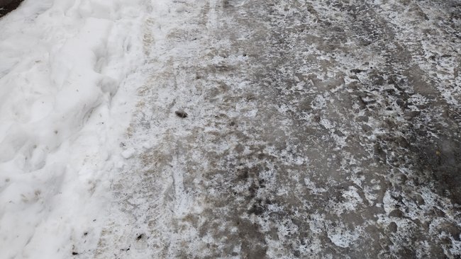 УК посыпала обледенелые тротуары только после жалобы бузулучанки 