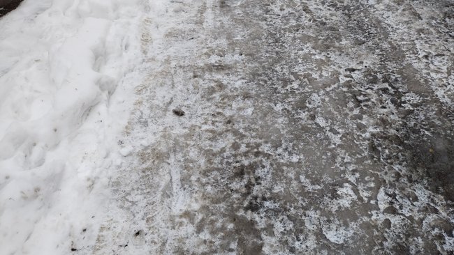 Скользкая тема: бузулучане просят посыпать дорожки у школ песком 