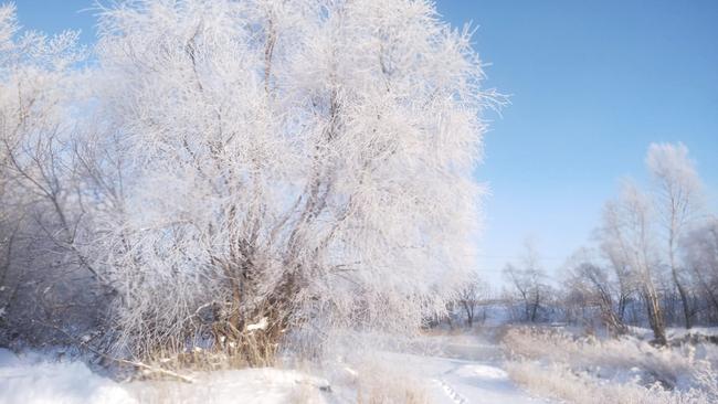 Заметет или заморозит? Синоптик рассказал о погоде в последний месяц зимы