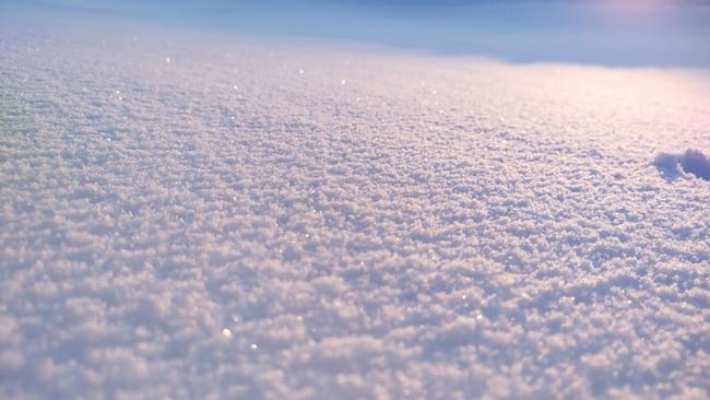 В Бузулуке побелело: надолго ли задержится снегопад?