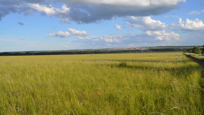 В выходные ожидается жара до 35 градусов 