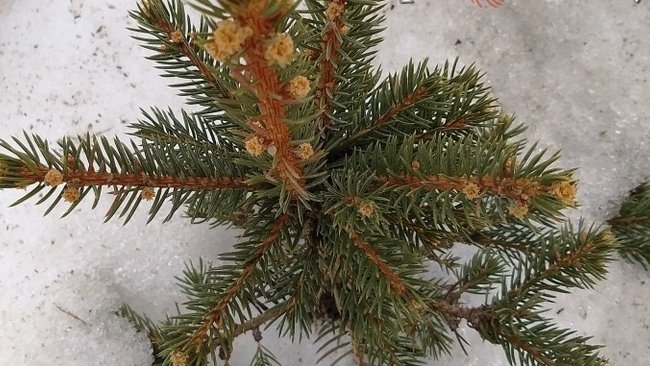 В Оренбуржье начались рейды по поиску 