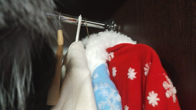 Дед Мороз с QR-кодом: в Госдуме предложили пускать в дома только привитых персон