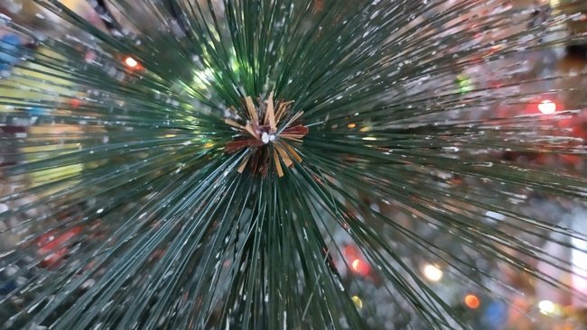 Опровержение: новую ёлку в Бузулуке закупают не для центра города