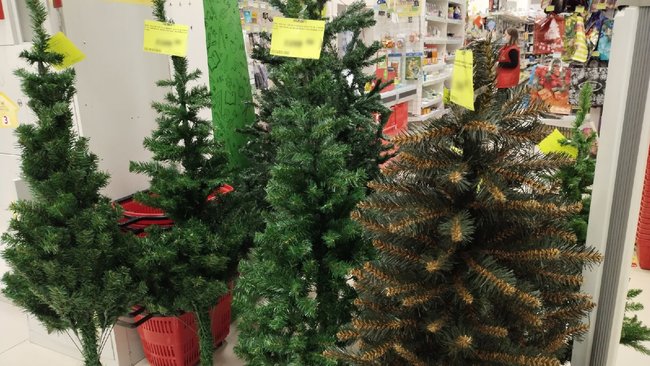 Чтобы елка была в радость: советы специалистов по выбору лесной красавицы 