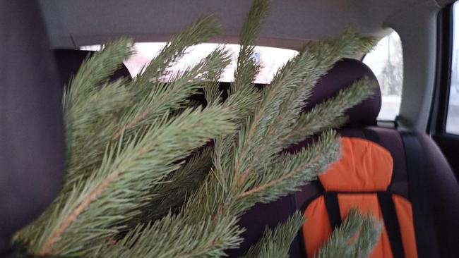 Россияне рассказали о самых нелюбимых предновогодних делах