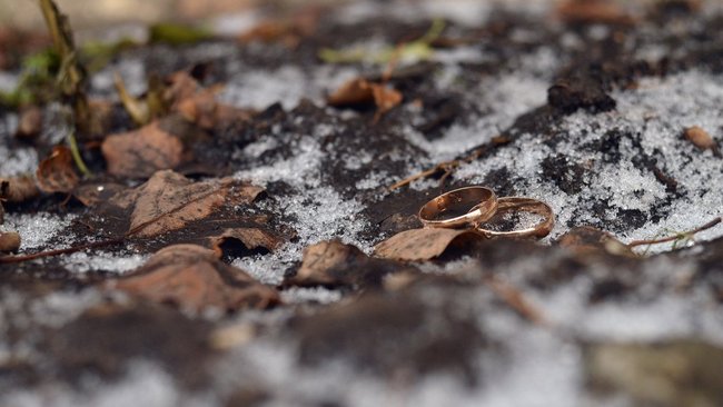 Заключать «семейный союз» или «брак»: у россиян может появиться право выбора