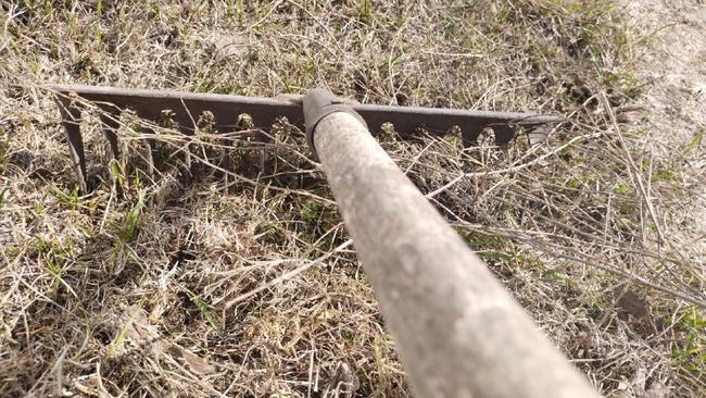 Как провести субботник безопасно для себя и окружающих