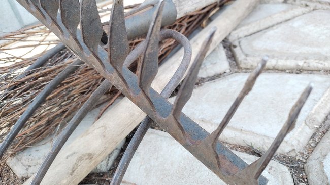 В Бузулуке пенсионер ударил соседку лопатой по лицу 