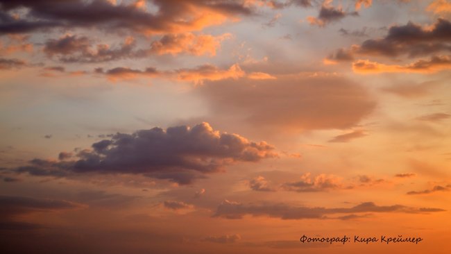 Оренбуржцы, не выходя из дома, смогут узнать о состоянии экологии в регионе