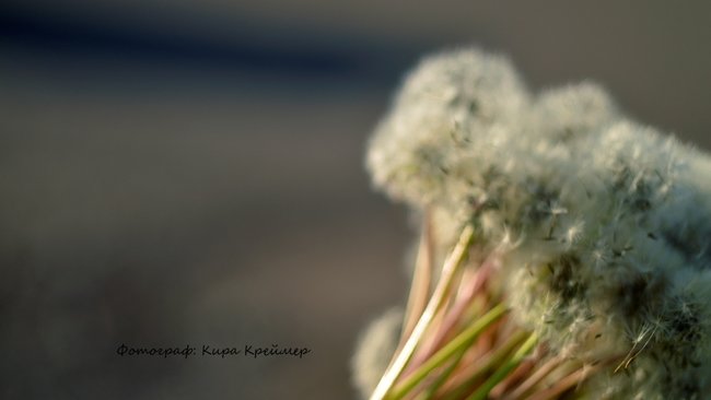 Оренбуржцам дают советы, как пережить предстоящую жару