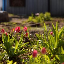 На майских праздниках будем отдыхать в два этапа