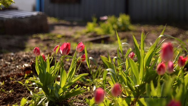 На майских праздниках будем отдыхать в два этапа