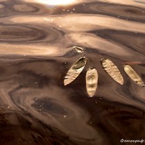 Внимание! Сегодня вечером начнется сброс воды с Домашкинского водохранилища