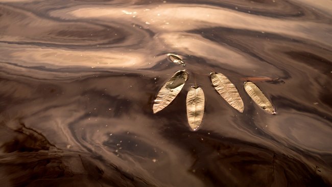 Житель Сочи приехал в Оренбургскую область и захотел утопиться (18+)