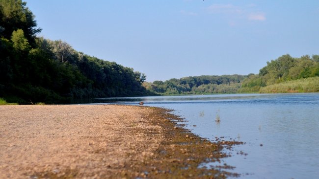 Роспотребнадзор выдал только 5-ти пляжам разрешение на открытие