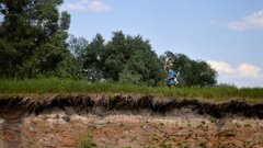 За полгода "черные лесорубы" в Оренбуржье спилили деревья на 1,3 миллиона рублей