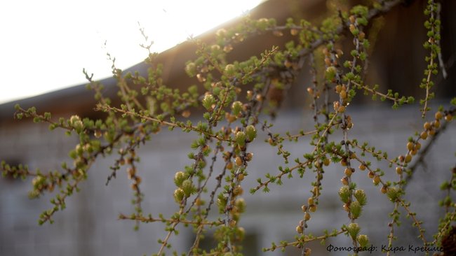В Оренбуржье появятся указатели «Здесь погибли люди»