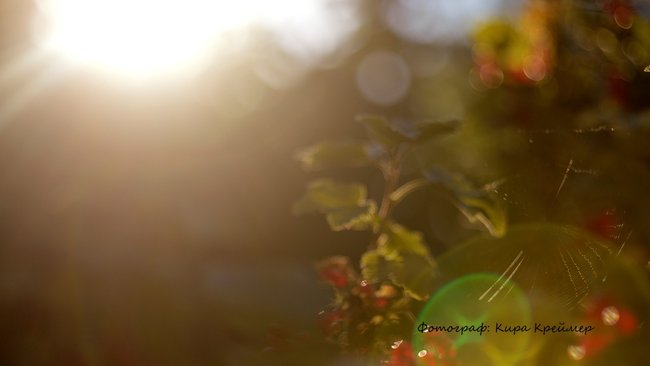 В Оренбуржье возвращается жара и возможны дожди