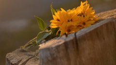 Факты о 8 Марта: посыл, статистика, подарки, празднование