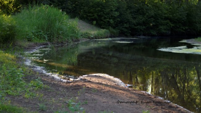 В России, наконец-то, задумались о масштабной чистке рек и озер 