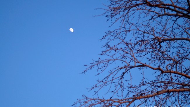 Оренбуржцы смогут увидеть 