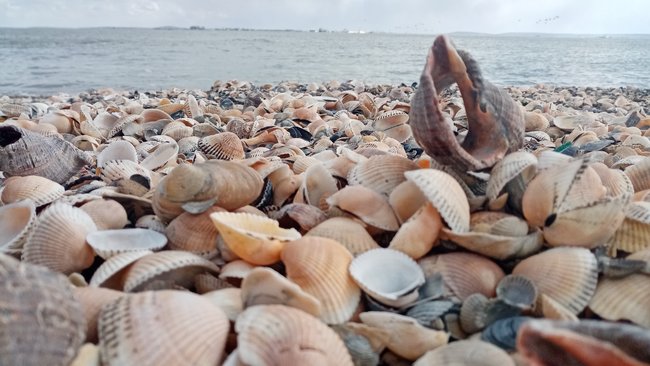 На отдыхе понадобится лишь часть привезенных лекарств и игрушек 