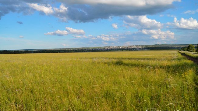 В Оренбуржье займутся исследованием птиц-дальних мигрантов