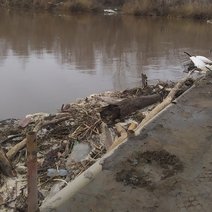 Началось: в Бузулукском районе закрыто движение по мосту