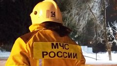 В поселке Бузулукского района 7 человек тушили пожар 