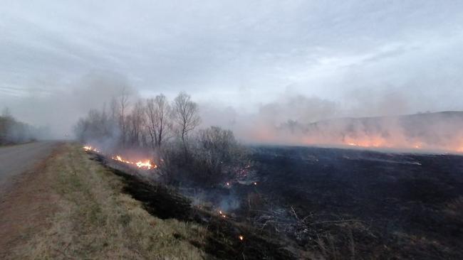 Штрафы за нарушение противопожарных правил в лесах станут выше