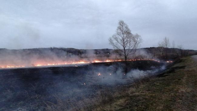  За нарушение правил пожарной безопасности в лесах грозит штраф до 30 тысяч рублей