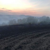 В Бузулукском районе полыхал крупный лесной пожар 