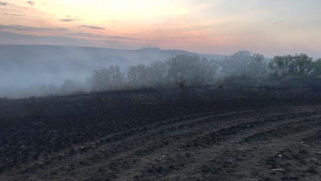 В Бузулукском районе полыхал крупный лесной пожар 