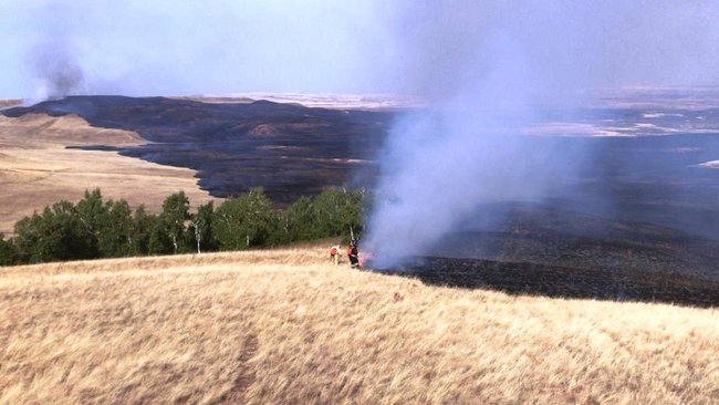 За нарушение Правил пожарной безопасности в лесах грозят крупные штрафы