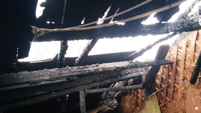 С начала года в Оренбуржье на пожарах погибли 64 человека